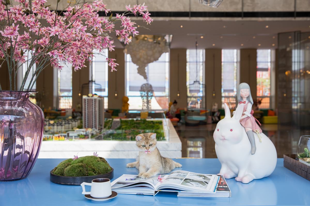 裝修房子常見的4大問題(圖1) 裝修房子常見的4大問題(圖1)